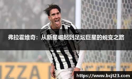 bsports官网入口