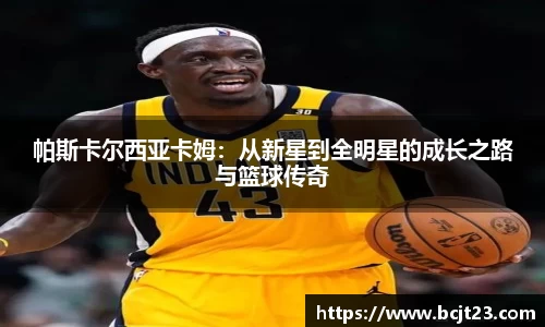 bsports官网入口